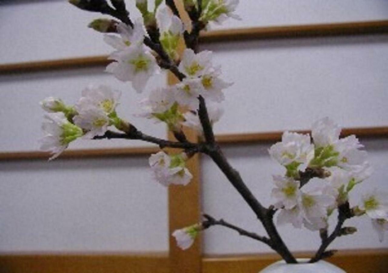 Wakaba Ryokan / Vacation Stay 29366 Szakata Kültér fotó